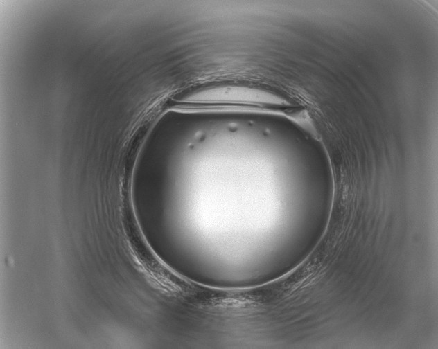 X0000060580542200511171700