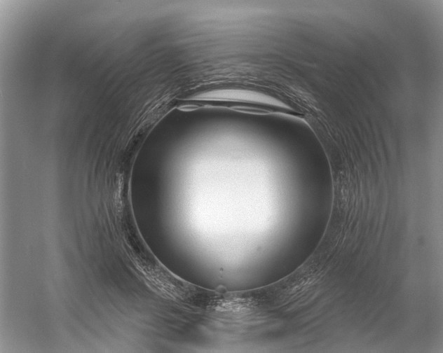 X0000060580550200511171700