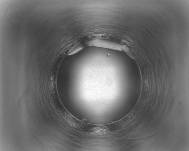 X0000060580555200511171700