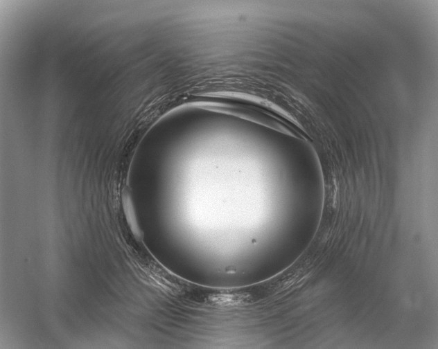 X0000060580558200511171700