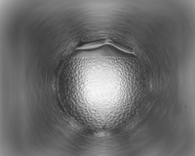 X0000060580561200511171700