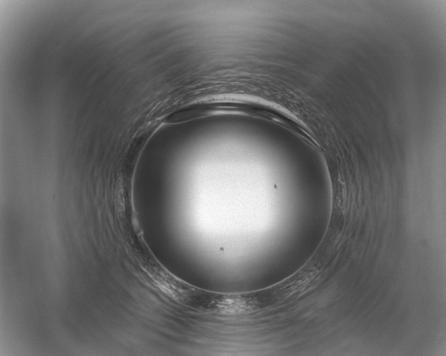 X0000060580562200511171700