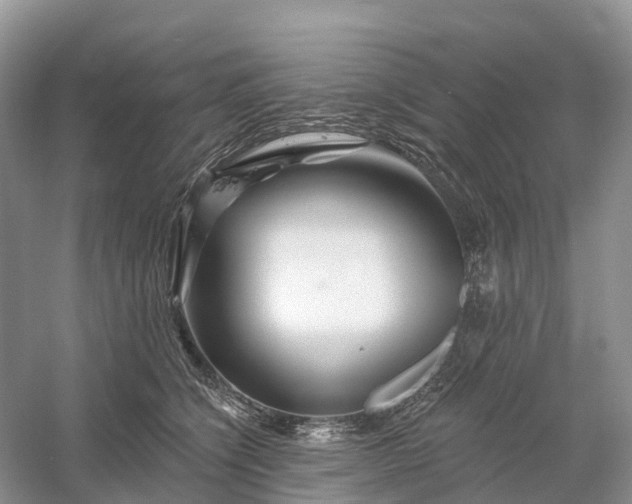 X0000060580564200511171700