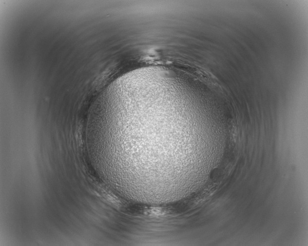 X0000060580565200511171700