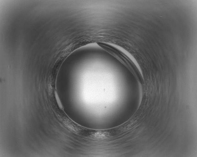 X0000060580566200511171700