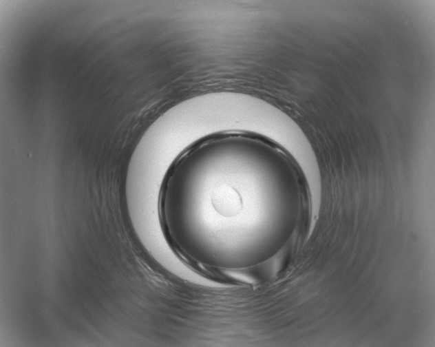 X0000060580570200511171700