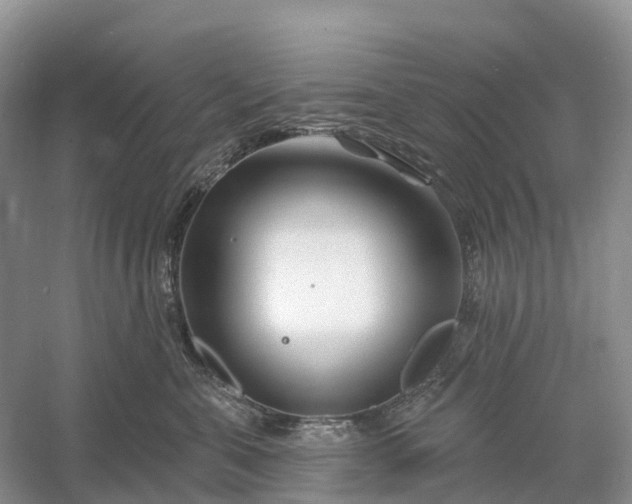 X0000060580571200511171700