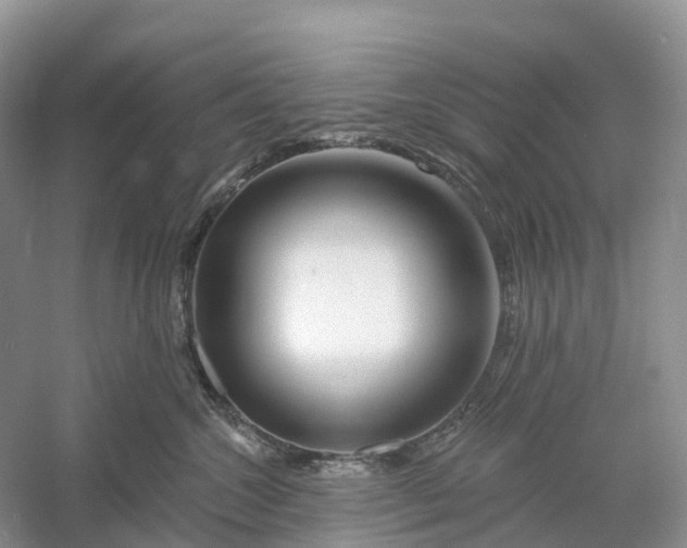 X0000060580572200511171700