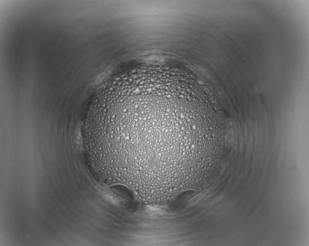 X0000060580573200511171700