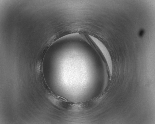 X0000060580574200511171700