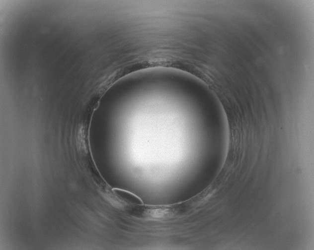 X0000060580575200511171700