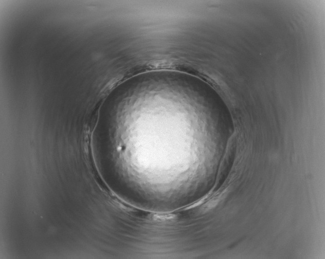 X0000060580576200511171700