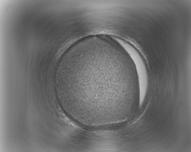 X0000060580577200511171700