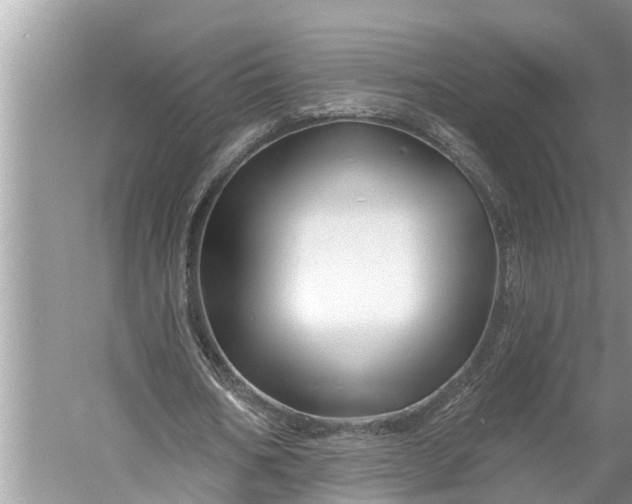 X0000060580578200511171700