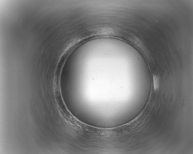 X0000060580579200511171700