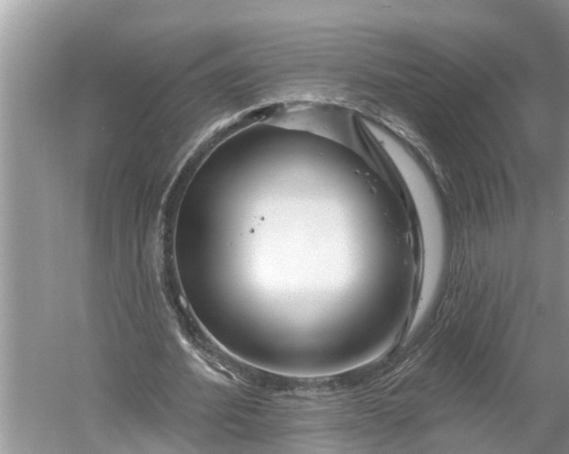 X0000060580580200511171700