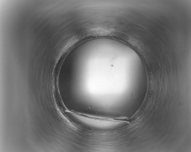 X0000060580582200511171700