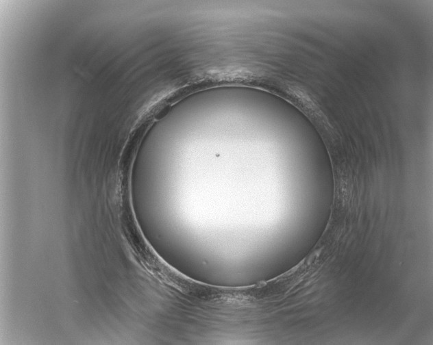 X0000060580583200511171700