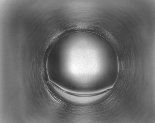 X0000060580588200511171659