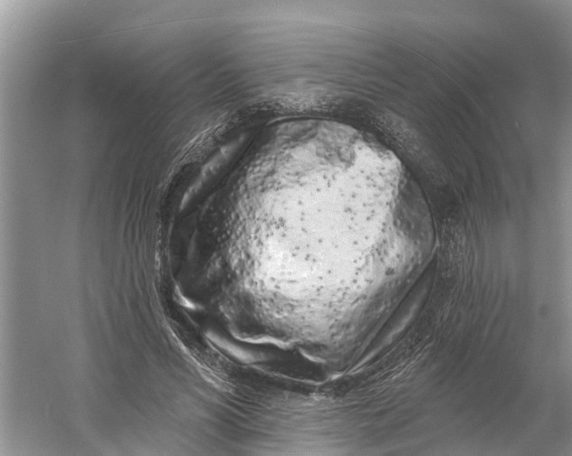 X0000060580590200511171659