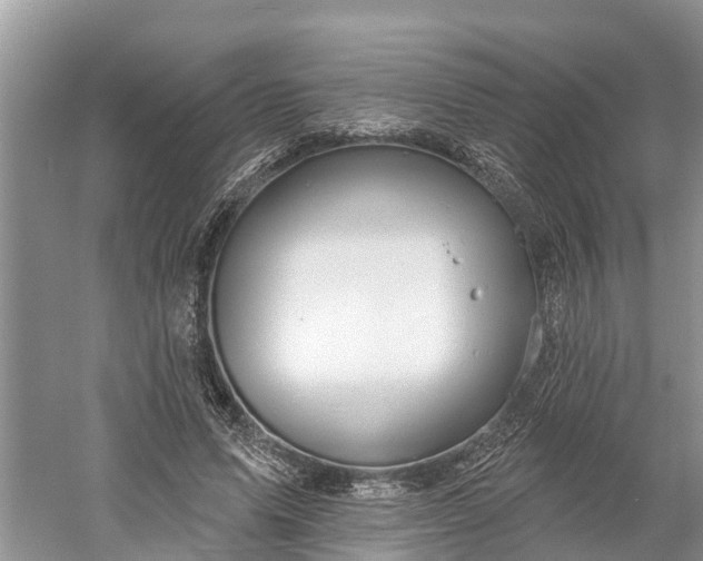 X0000060580591200511171659