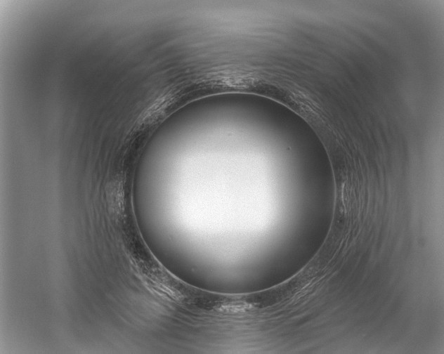 X0000060580595200511171659