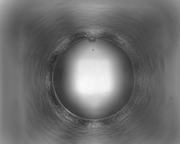 X0000060580599200511171659