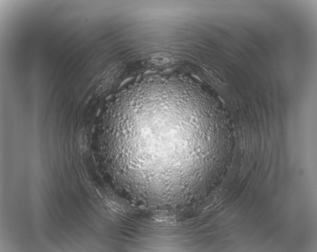 X0000060580606200511171659