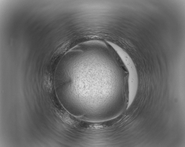 X0000060580607200511171659