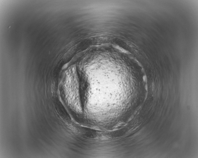 X0000060580610200511171659