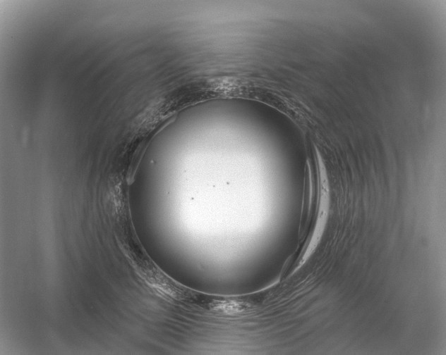 X0000060580611200511171659