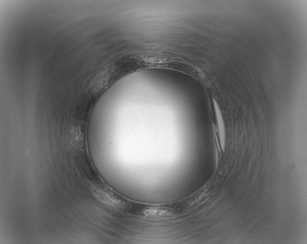 X0000060580614200511171659