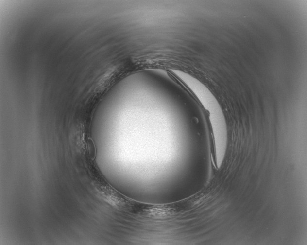 X0000060580615200511171659