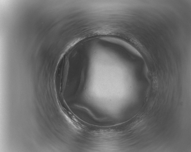 X0000060580626200511171658