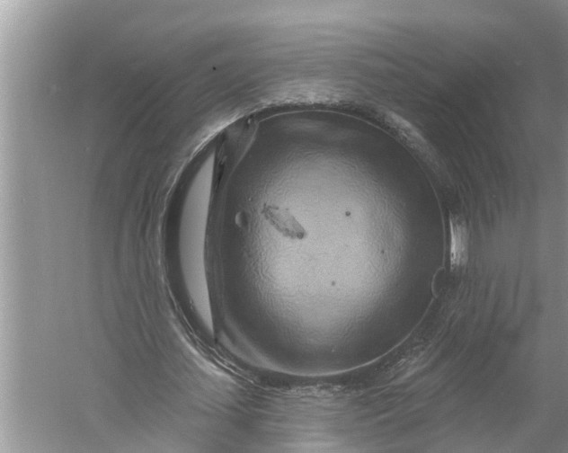 X0000060580627200511171658