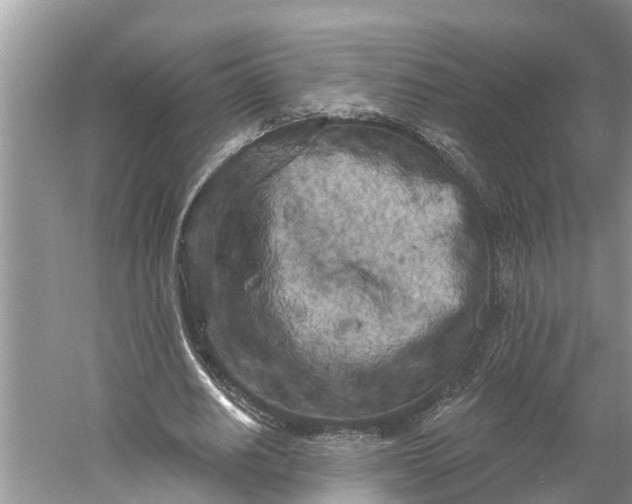 X0000060580630200511171658