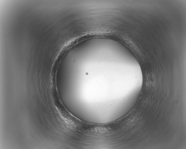 X0000060580636200511171658