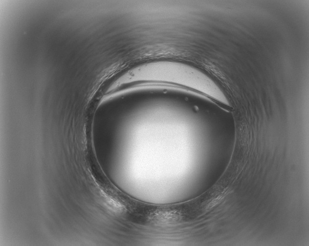 X0000060580638200511171658