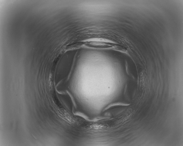 X0000060580650200511171658