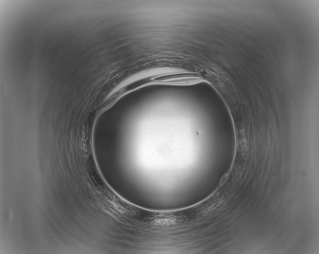 X0000060580653200511171659