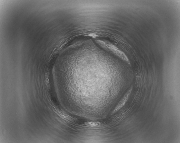 X0000060580654200511171659