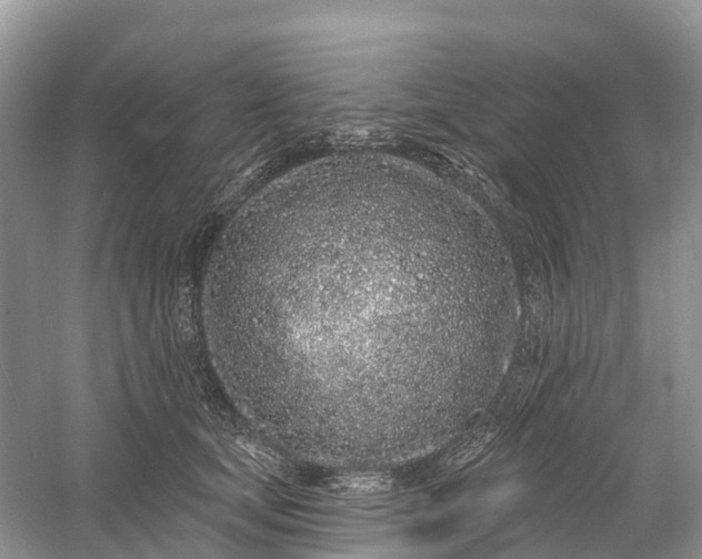 X0000060580659200511171659