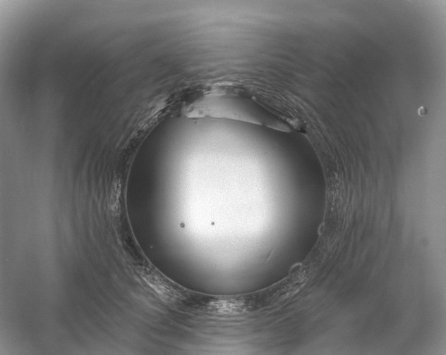 X0000060580660200511171659