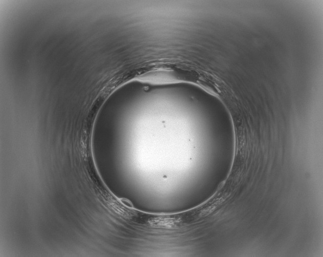 X0000060580661200511171659