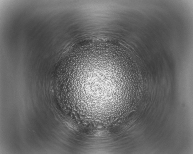 X0000060580663200511171659