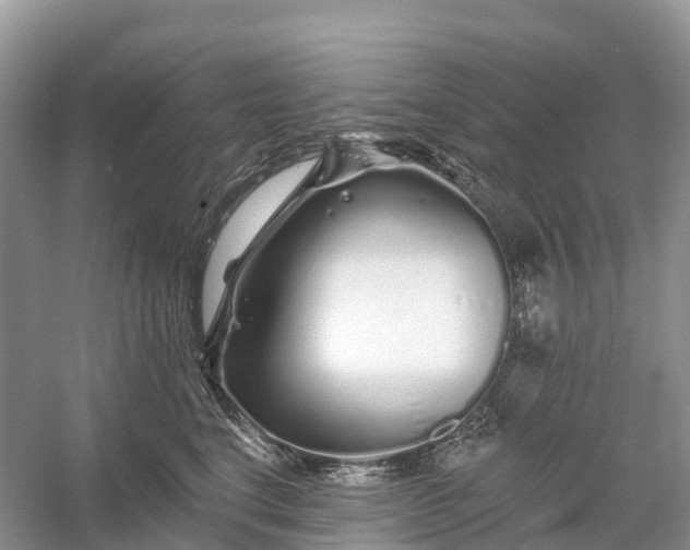 X0000060580664200511171659