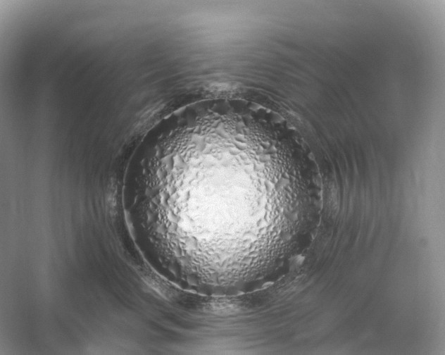 X0000060580668200511171659