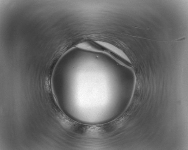 X0000060580669200511171659