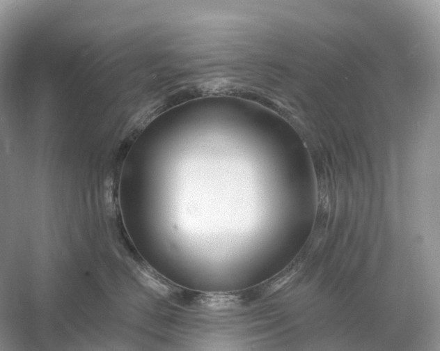 X0000060580670200511171659