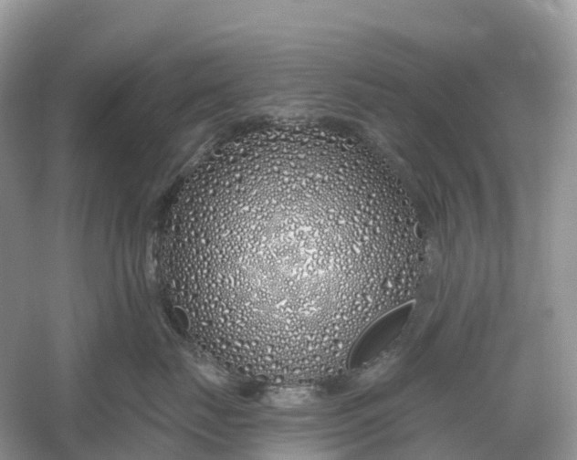 X0000060580671200511171659